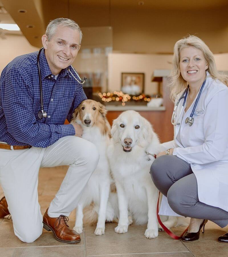 About Apalachee River Animal Hospital | Vet in Dacula, GA
